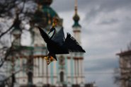 St. Andrew Church in Kyiv