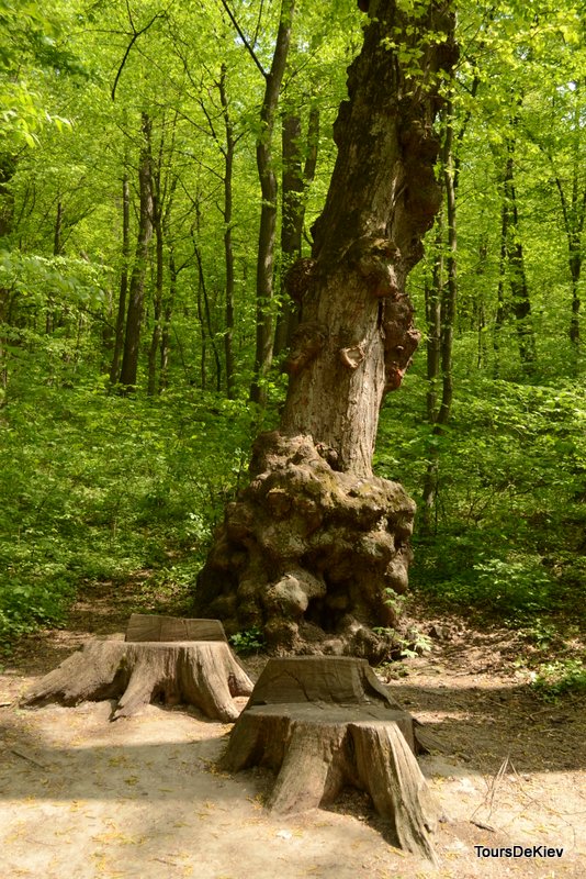 Feofania guided tour, Kiev