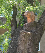 Дерев’яний кіт біля золотих воріт