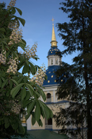 Ботанический сад им. Гришко в Киеве