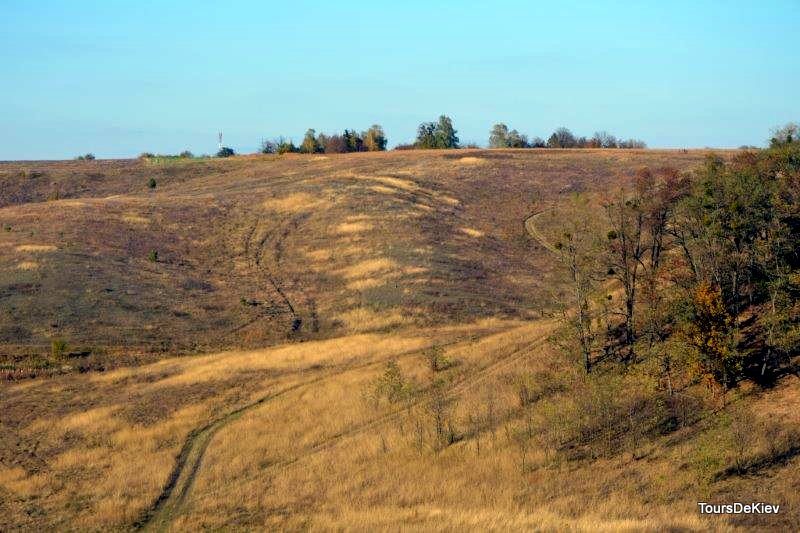 Краєвиди